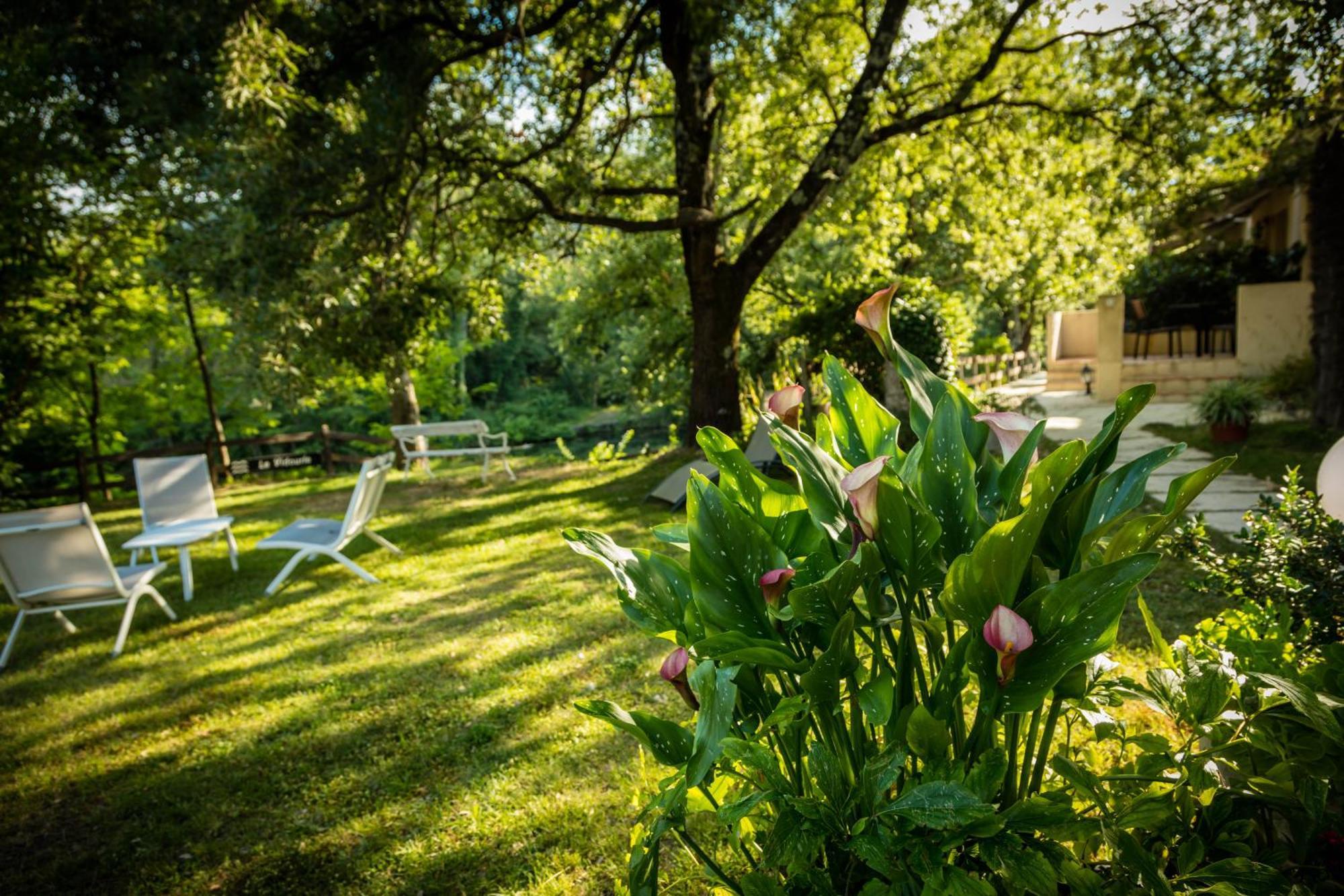 Logis Des Magnans -Les Terrasses Du Coutach - Bed and Breakfast Sauve Eksteriør billede